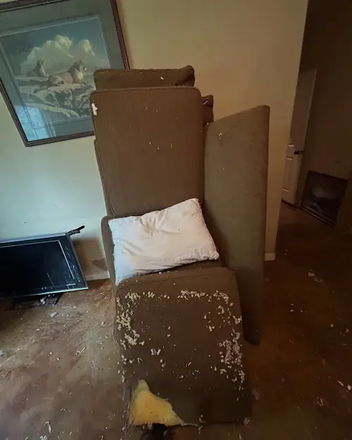 Furniture & Appliance Removal crew loading items