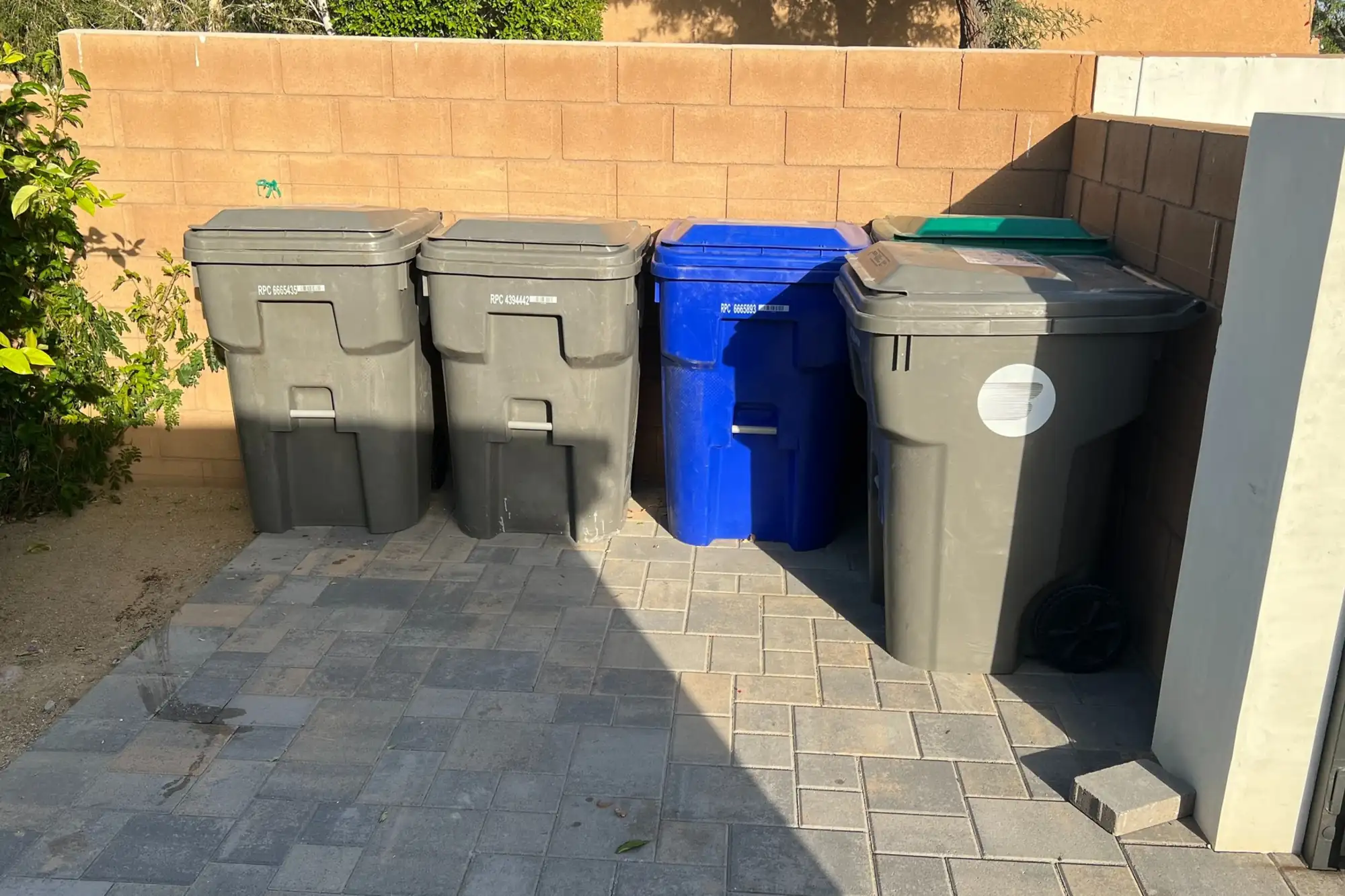 trash bins and junk beside a home in Valrico