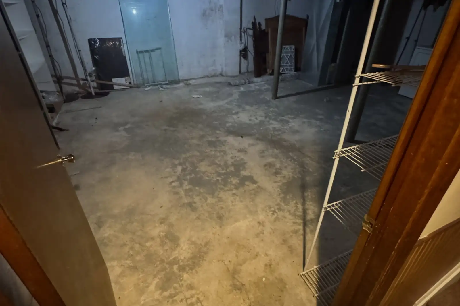 Backyard and Storage Room Cleanout in Seffner, FL - photo 4