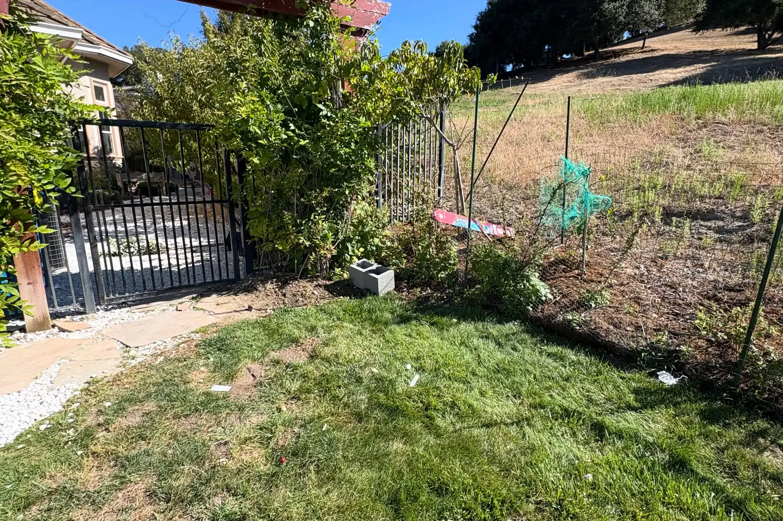 Yard Debris and Box Pile Removal in Riverview, FL - photo 3