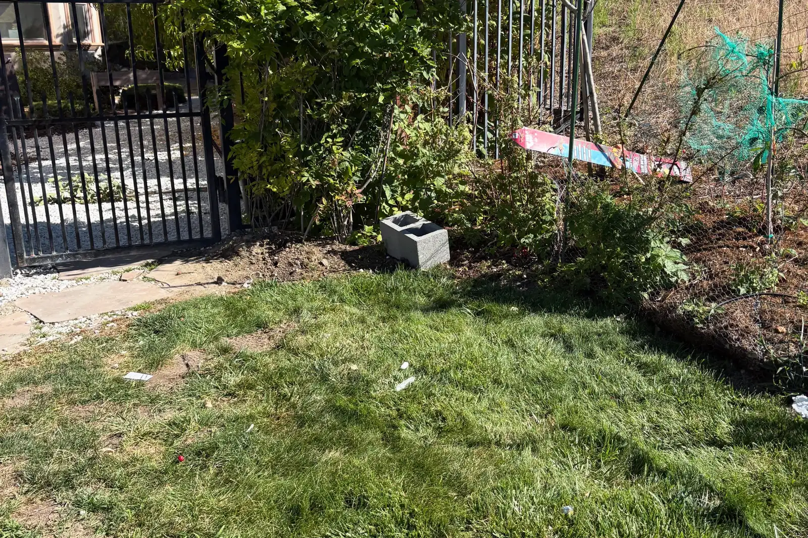 Yard Debris and Box Pile Removal in Riverview, FL - photo 4