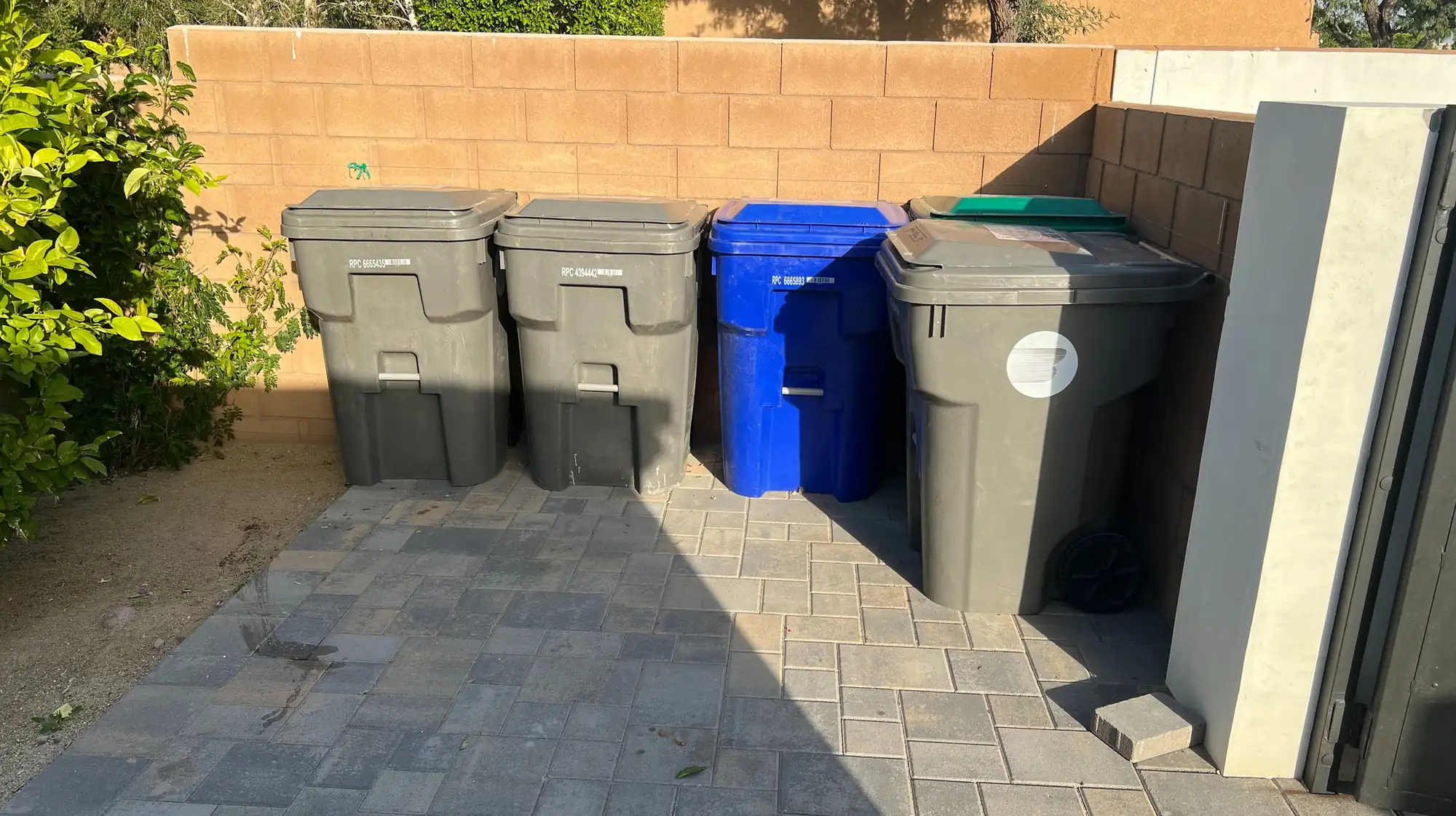 trash bins and bulk junk set out for pickup in Valrico
